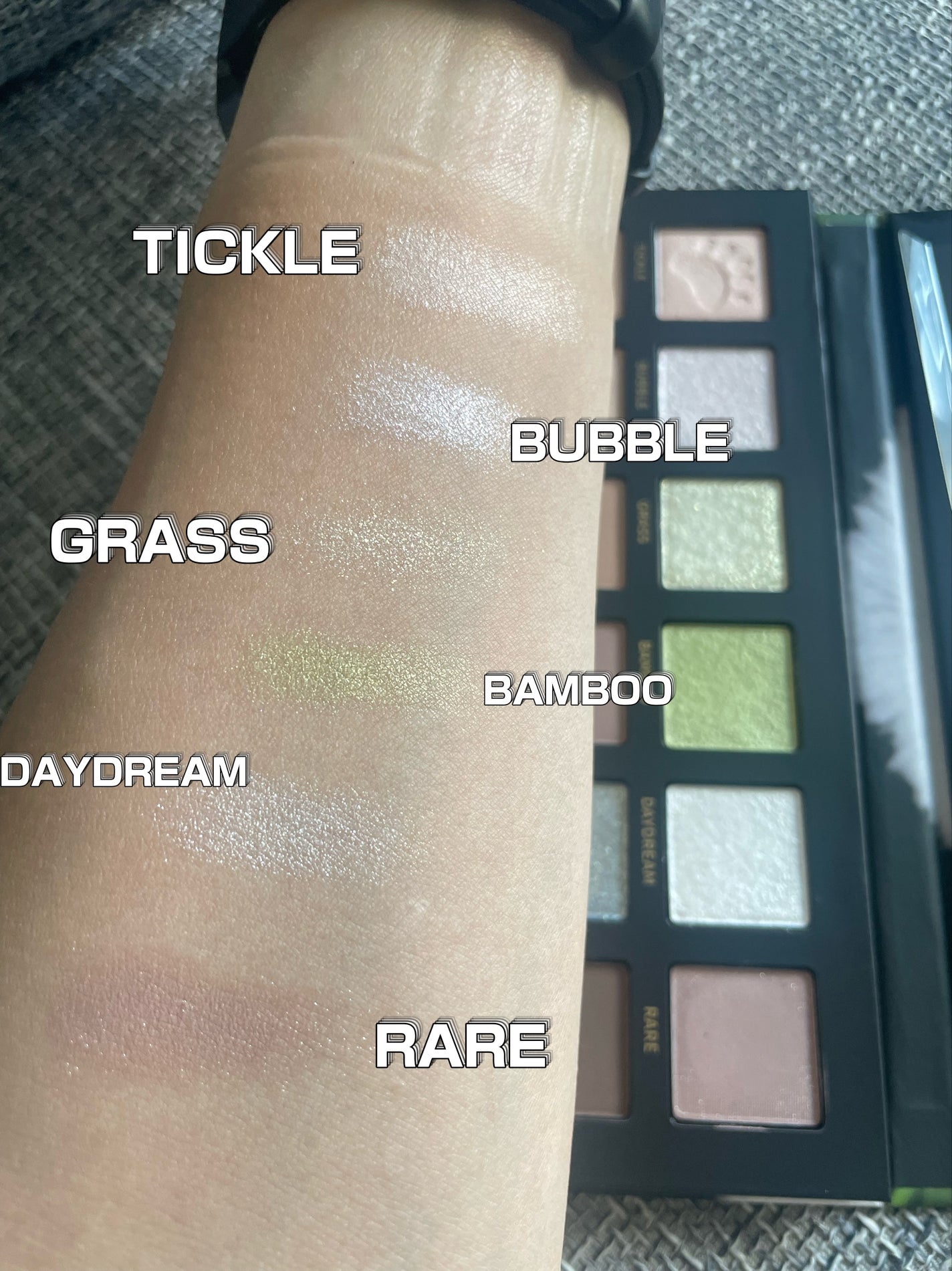 エクスプローラ12色 動物アイシャドウパレット/PERFECT DIARY/アイシャドウパレットを使ったクチコミ(3枚目)