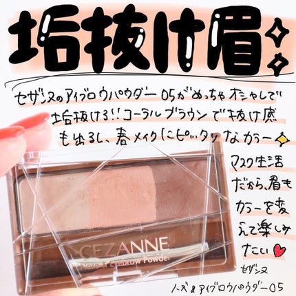 ノーズ&アイブロウパウダー/CEZANNE/パウダーアイブロウを使ったクチコミ(1枚目)
