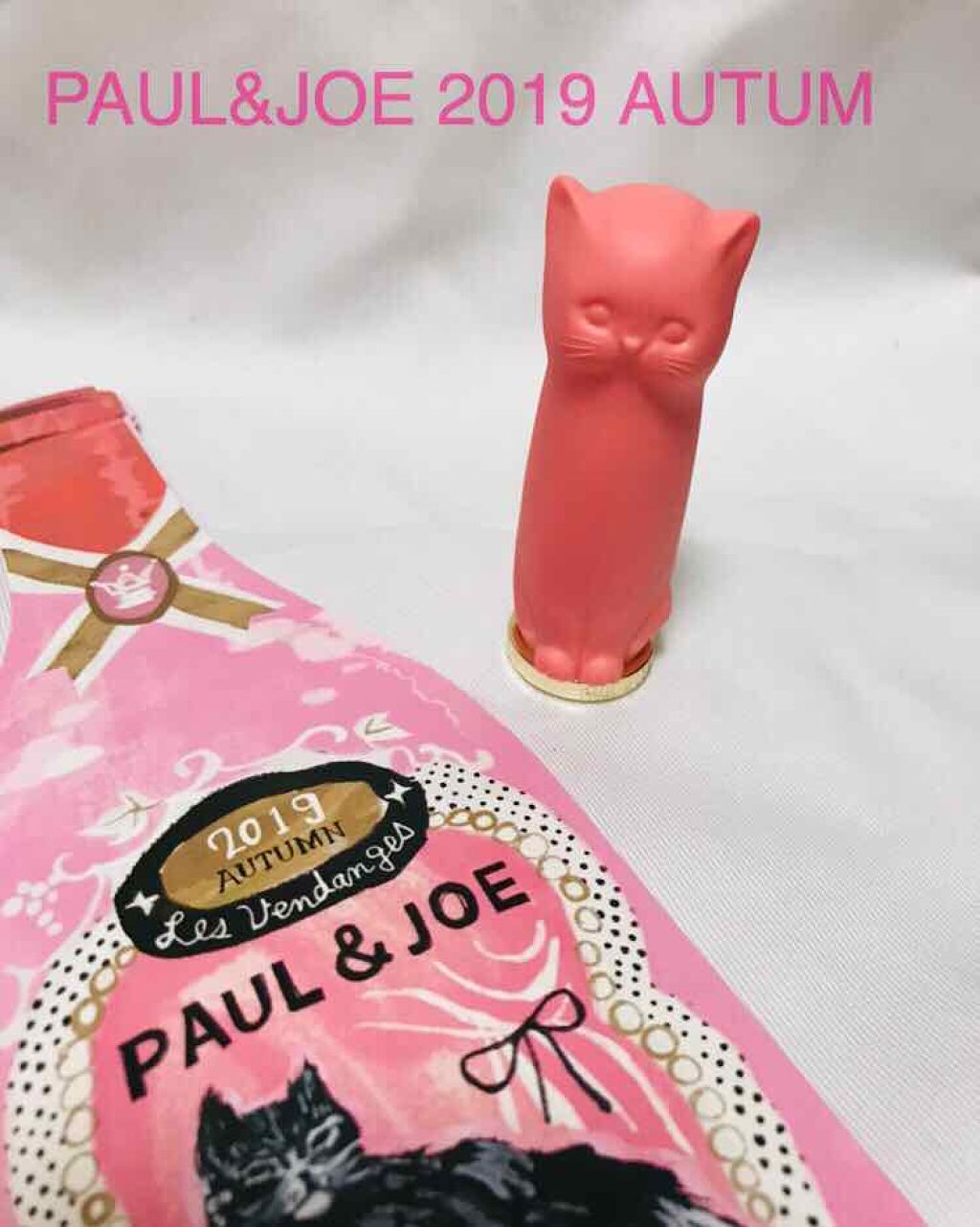 ポール&ジョー　ネコ　リップ　ケア　口紅　デパコス　PAUL&JOE ケース付き 限定化粧小物】リップスティック ケース N｜PAUL & JOE BEAUTEの