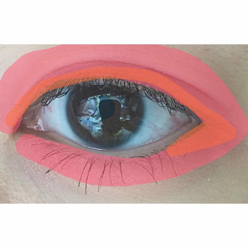 アイ カラー(チップ付)/ちふれ/アイシャドウパレットを使ったクチコミ(2枚目)