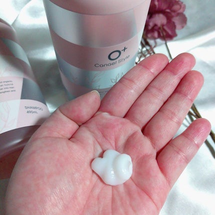 モイストリペア シャンプー/トリートメント /Canael Style /市販シャンプーを使ったクチコミ(4枚目)