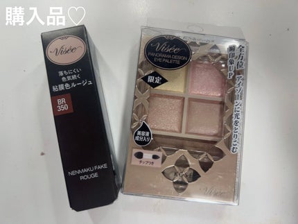 パノラマデザイン アイパレット/Visée/アイシャドウパレットを使ったクチコミ(4枚目)