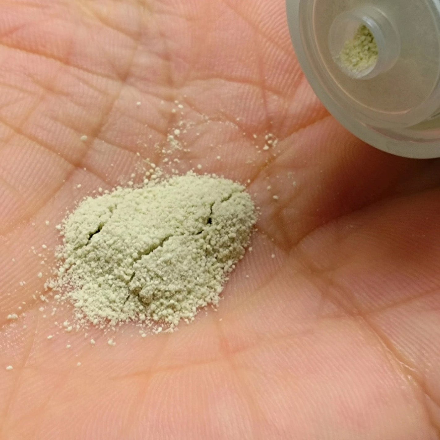 グリーンティー&エンザイムパウダーウォッシュ/By Wishtrend/洗顔パウダーを使ったクチコミ(5枚目)