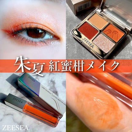 ダイヤモンドシリーズ 星空リキッドアイシャドウ/ZEESEA/リキッドアイシャドウを使ったクチコミ(1枚目)