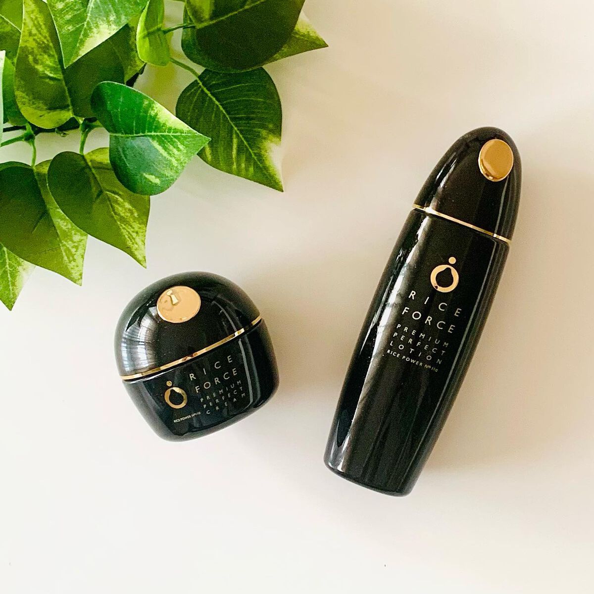 プレミアムパーフェクトクリーム/ライスフォース/フェイスクリームを使ったクチコミ(6枚目)