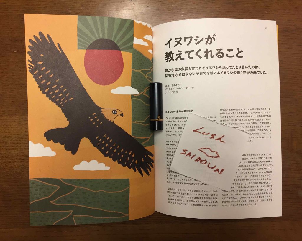 ヴィーガンリップスティック/ラッシュ/口紅を使ったクチコミ（2枚目）