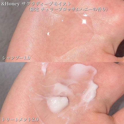 サクラ ディープモイスト シャンプー1.0/ヘアトリートメント2.0/&honey/シャンプー・コンディショナーを使ったクチコミ(2枚目)