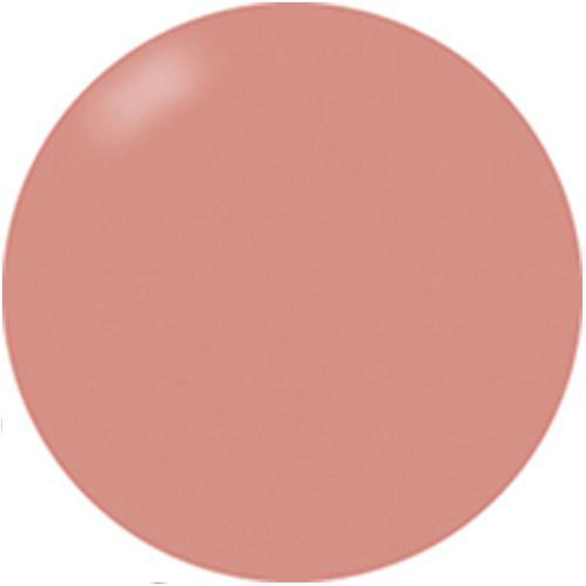 ブラッシュオンカラージェル 251