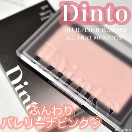 ブラーフィニシュブラッシャー/Dinto/パウダーチークを使ったクチコミ(1枚目)