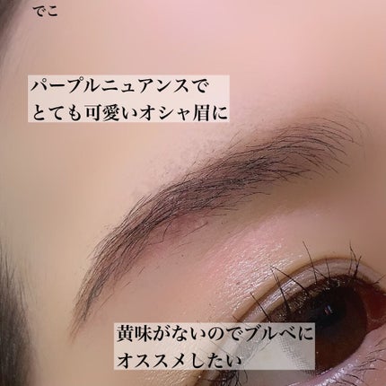 ヴィセ リシェ アイブロウパウダー/Visée/パウダーアイブロウを使ったクチコミ(3枚目)