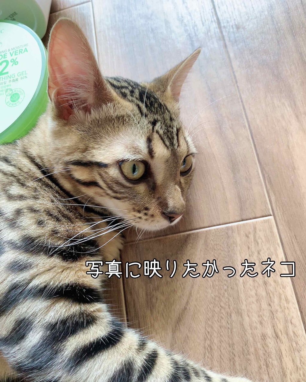 購入品/その他を使ったクチコミ（3枚目）