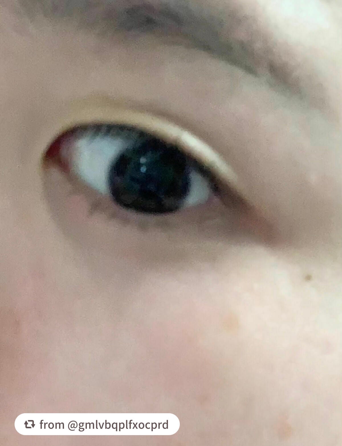 TWOOLダブルアイリッドハイブリットフィルム/SHOBIDO/二重まぶた用アイテムを使ったクチコミ(6枚目)