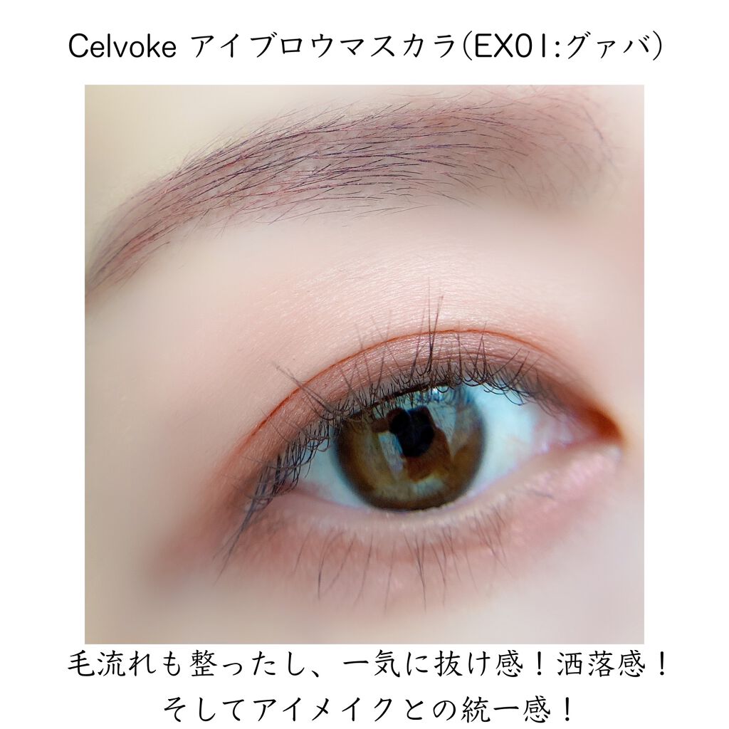 セルヴォーク インディケイトアイブロウマスカラ C/Celvoke/眉マスカラを使ったクチコミ(5枚目)