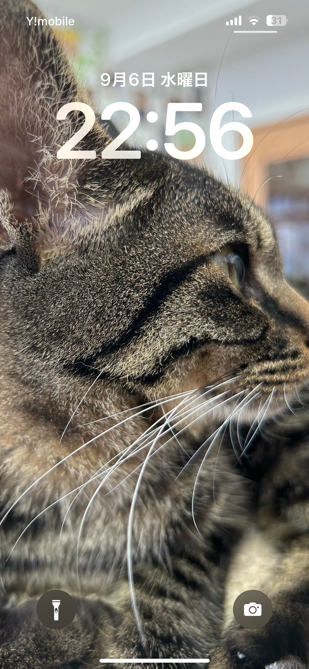 琲世 on LIPS 「ベピオ1日目#はじめての投稿..」(1枚目)