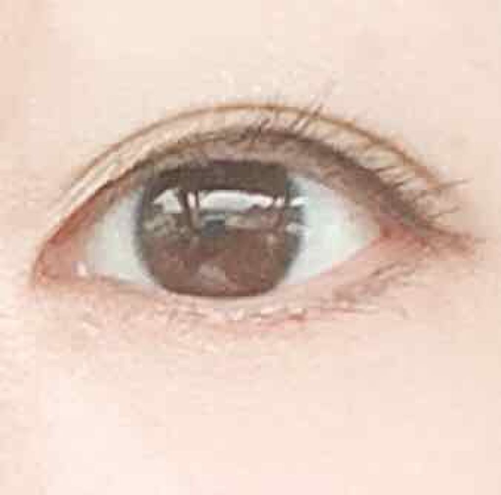 ラッシュジェリードロップ/MAJOLICA MAJORCA/まつげ美容液を使ったクチコミ（1枚目）