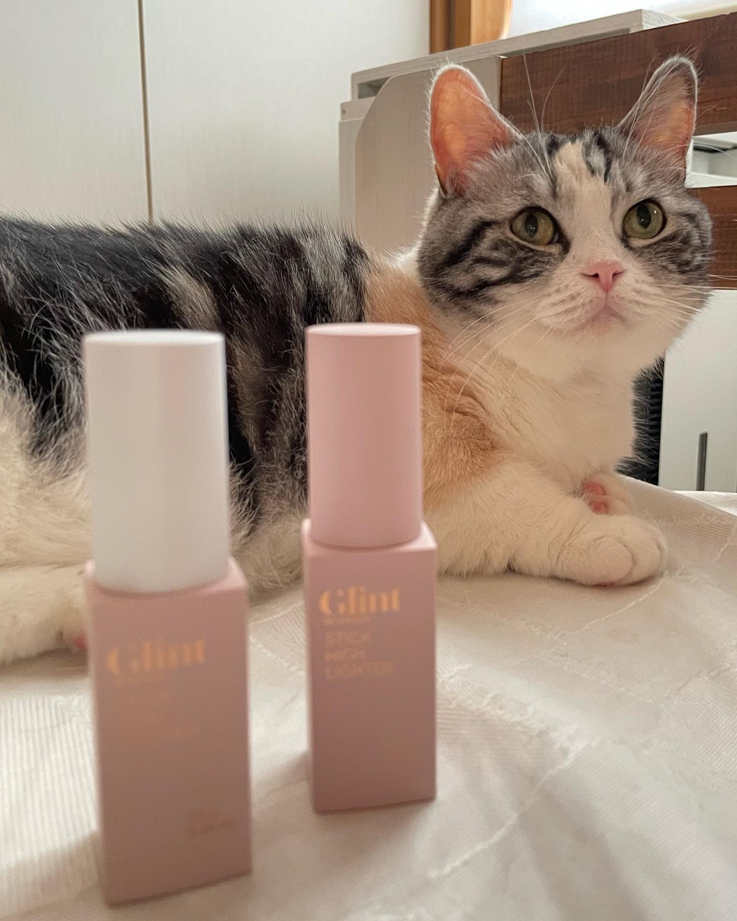 スティックハイライター 01 デューイムーン/Glint/スティックハイライトを使ったクチコミ（1枚目）