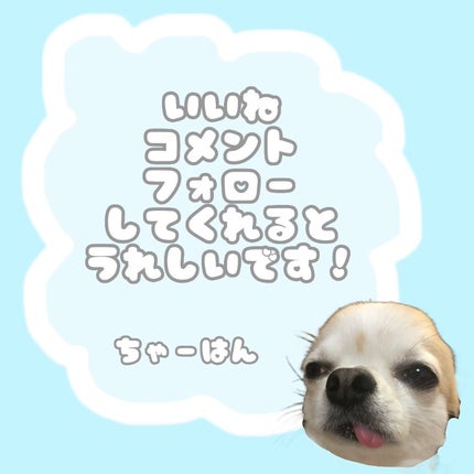 デューイグロースティック チーク ピンクグロー/LIZLY/ジェル・クリームチークの画像