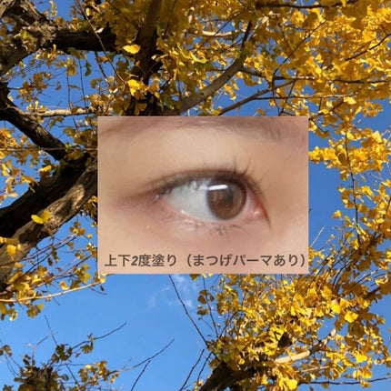 インラプチュア ラッシュ/Celvoke/マスカラを使ったクチコミ(3枚目)