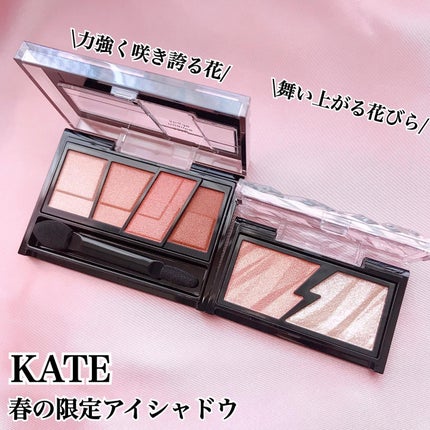 デザイニングブラウンアイズ/KATE/アイシャドウパレットを使ったクチコミ(1枚目)
