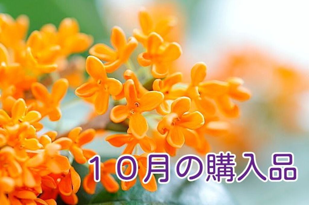 海藻 モイスト ヘア ミスト/ラサーナ/プレスタイリング・寝ぐせ直しを使ったクチコミ(1枚目)