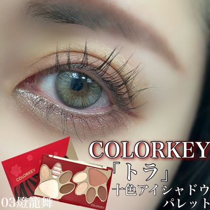 トラ十色アイシャドウパレット/COLORKEY/アイシャドウパレットを使ったクチコミ(1枚目)