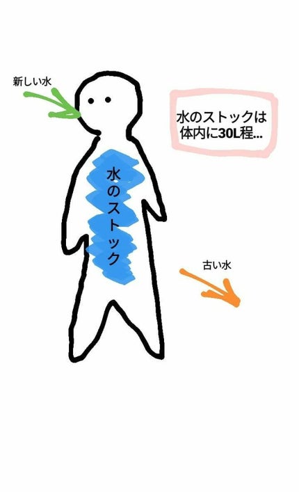 もちこさん on LIPS 「ダイエットの小話どうして水を沢山飲むと良いの?皆さんダイエット..」(2枚目)