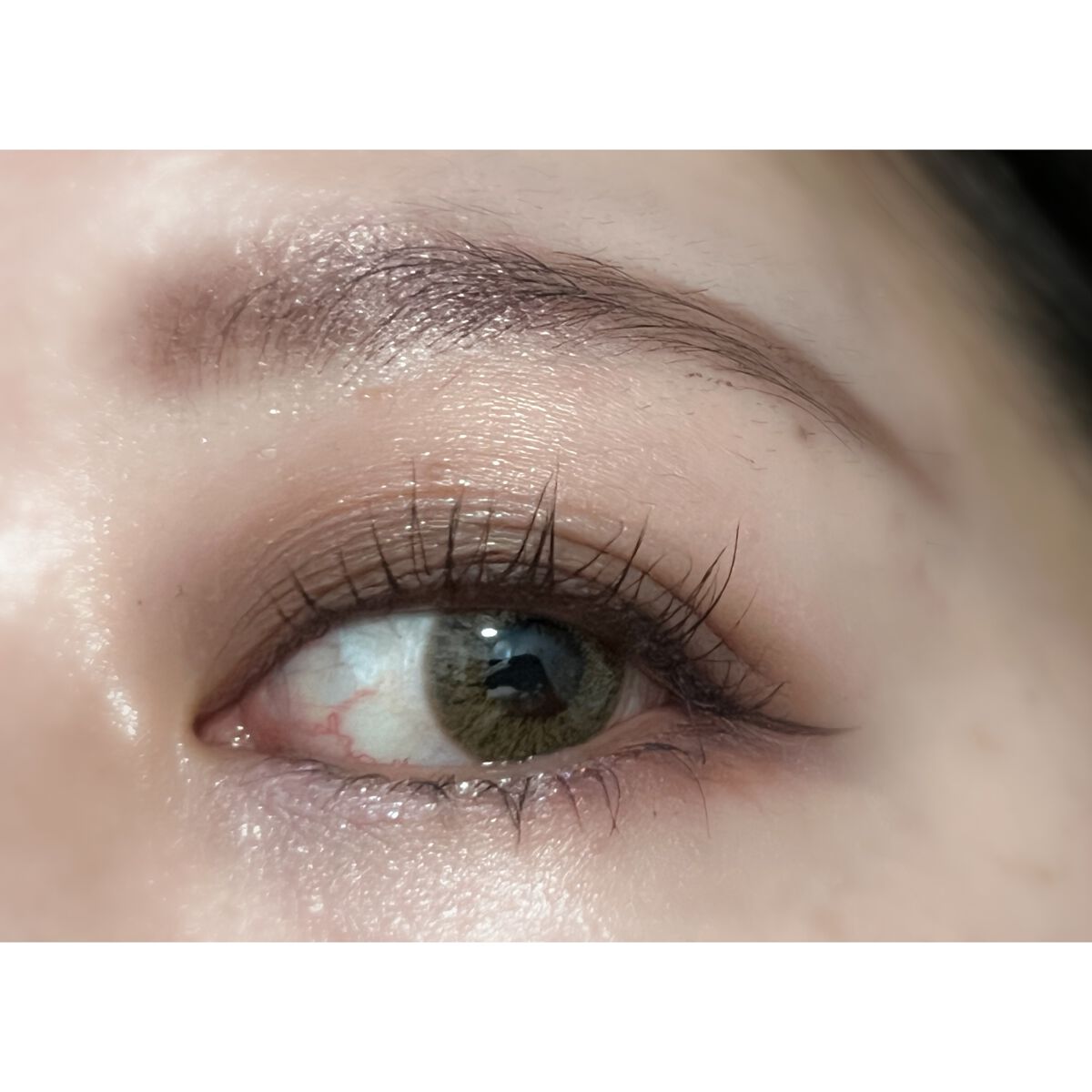 コンスピキュアス アイズ/Amplitude/アイシャドウパレットを使ったクチコミ(6枚目)