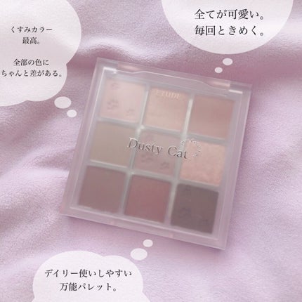 プレイカラーアイズ ダスティキャット/ETUDE/アイシャドウパレットを使ったクチコミ(5枚目)