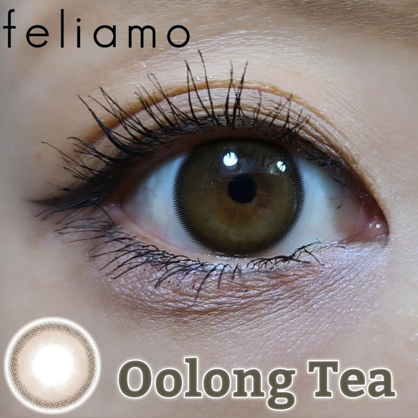 feliamo 1day ウーロンティー/feliamo/ワンデー（１DAY）カラコンを使ったクチコミ（1枚目）