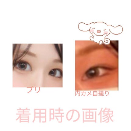 FLANMY 1day/FLANMY/ワンデー(1DAY)カラコンを使ったクチコミ(1枚目)