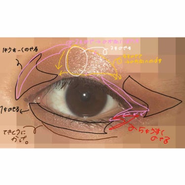 パーフェクトマルチアイズ/キャンメイク/アイシャドウパレットを使ったクチコミ（1枚目）