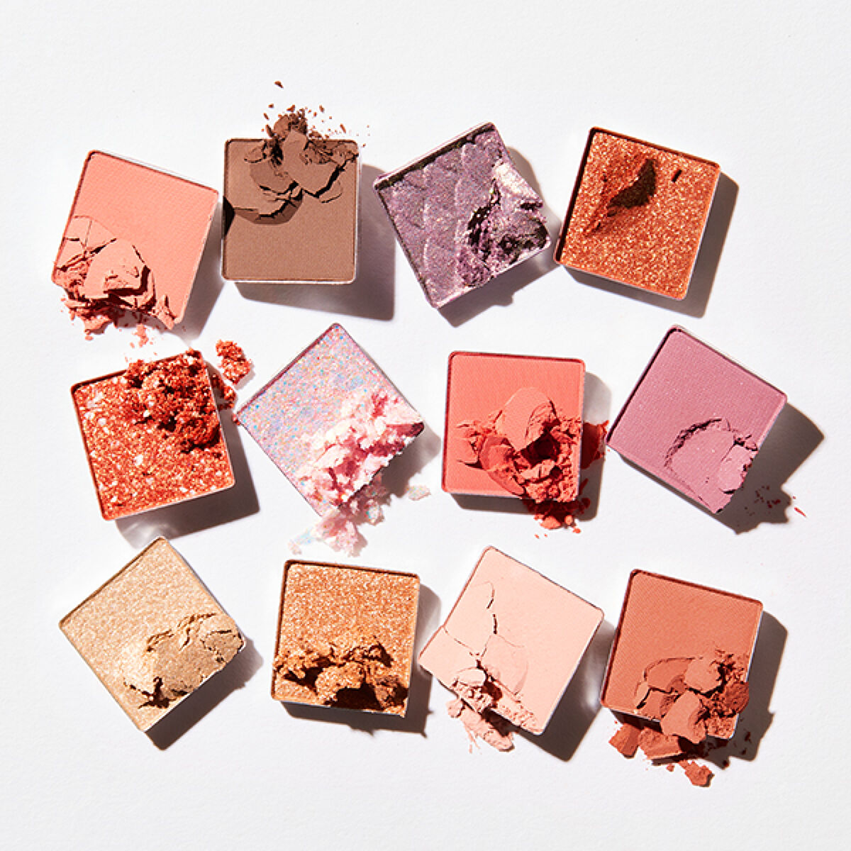 💞動物パレット鯉を10名様にプレゼントを‼（2枚目）