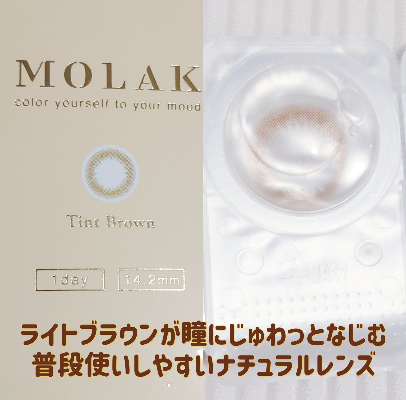 MOLAK 1day/MOLAK/ワンデー(1DAY)カラコンを使ったクチコミ(2枚目)