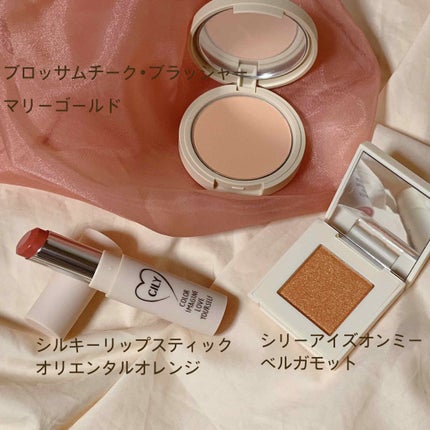 シルキーリップ/CILY/口紅を使ったクチコミ(2枚目)