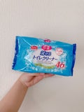 除菌 流せるトイレクリーナー / DAISO