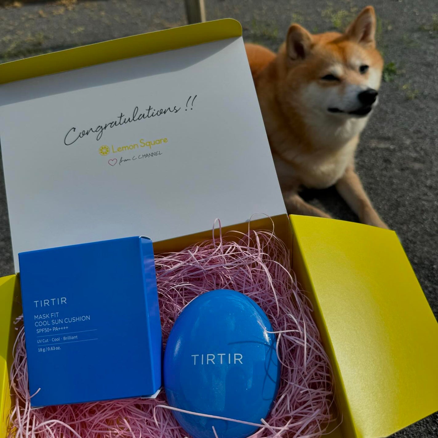 マスクフィット クール サンクッション/TIRTIR(ティルティル)/クッションファンデーションを使ったクチコミ(1枚目)