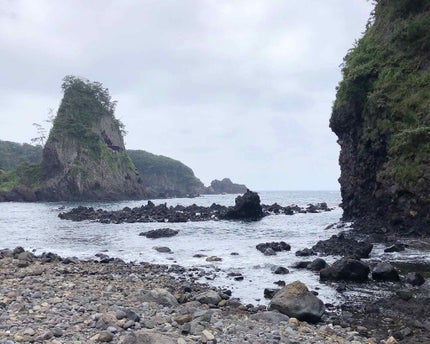 純白専科 すっぴん白雪美容液(専科 薬用美白クリーム)/SENKA(専科)/美容液を使ったクチコミ(4枚目)