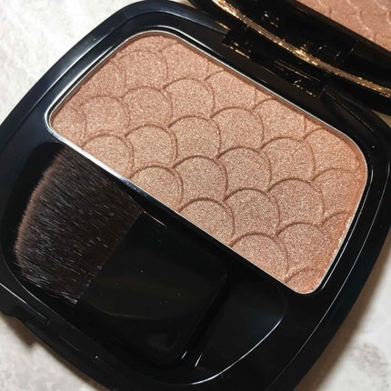 ル バー ア ブラッシュ/ロレアル パリ/パウダーチークを使ったクチコミ(3枚目)