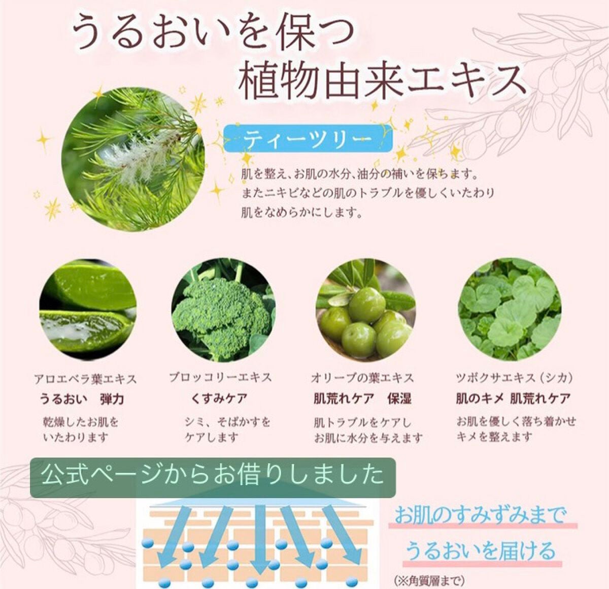 シンビハーブソープ/SHINBEE JAPAN /洗顔石鹸を使ったクチコミ(4枚目)