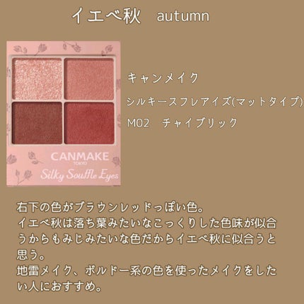 シルキースフレアイズ(マットタイプ)/キャンメイク/アイシャドウパレットを使ったクチコミ(5枚目)