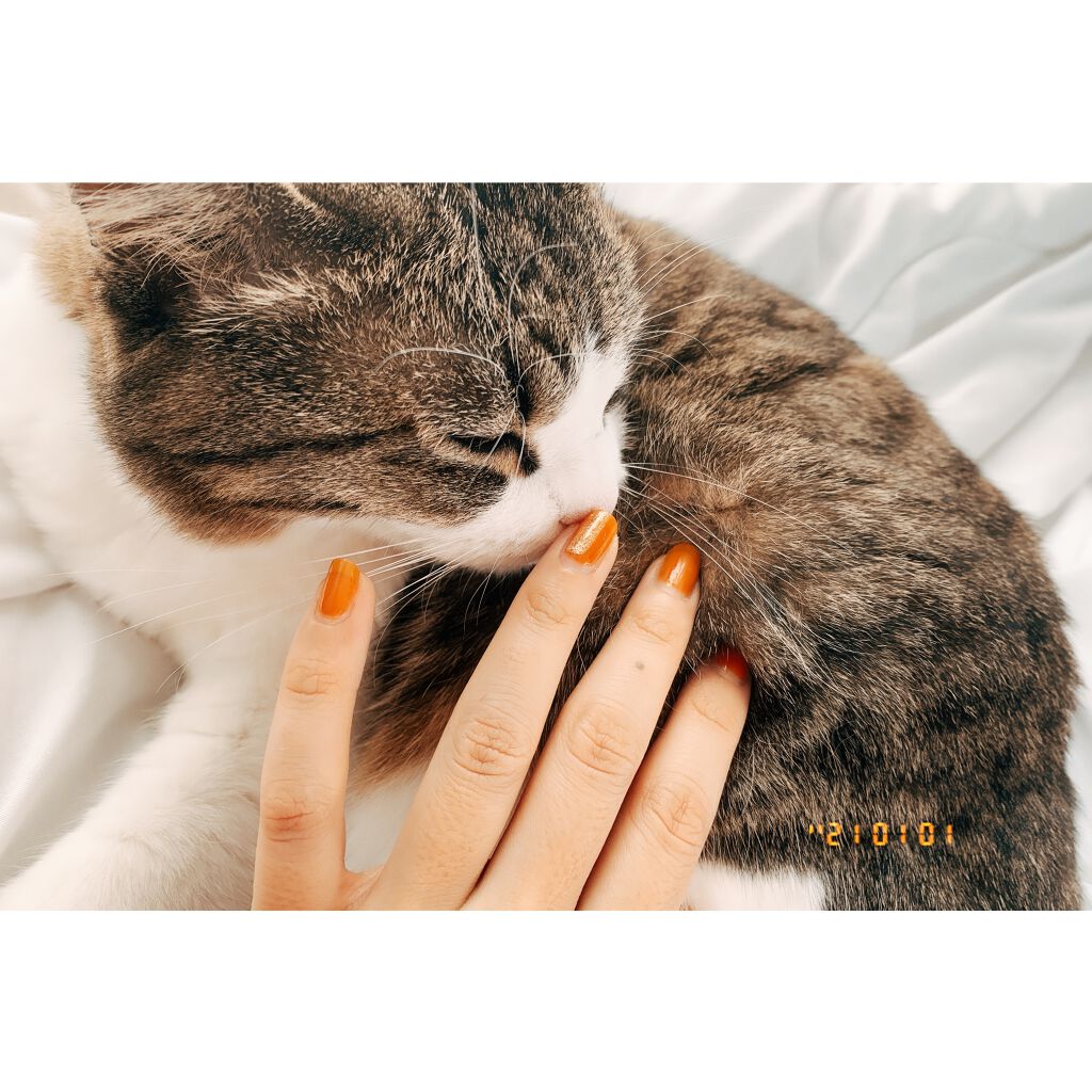 オサジ アップリフト ネイルカラー/OSAJI/マニキュアを使ったクチコミ(2枚目)