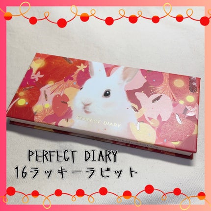 エクスプローラ12色 動物アイシャドウパレット/PERFECT DIARY/アイシャドウパレットを使ったクチコミ(1枚目)