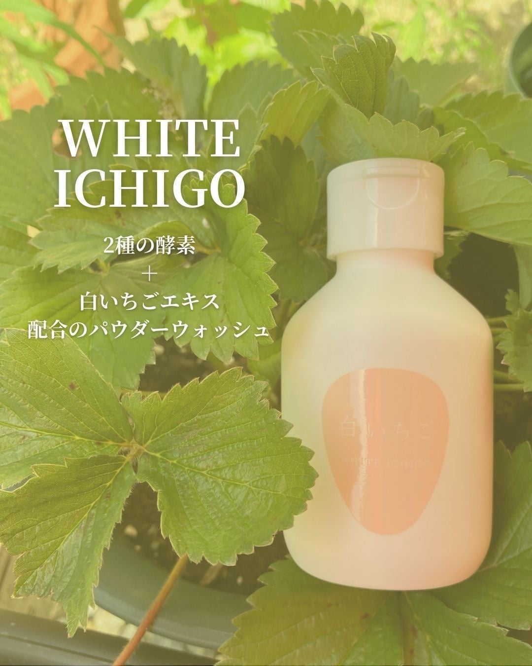 パウダーテック・ウォッシュ/WHITE ICHIGO/洗顔パウダーを使ったクチコミ(1枚目)