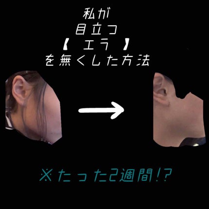 を使ったクチコミ(1枚目)