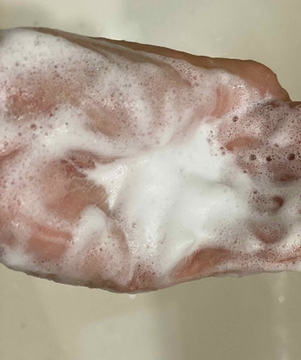 パーフェクトホワイトクレイ/SENKA(専科)/洗顔フォームを使ったクチコミ(1枚目)