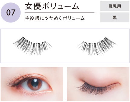 No.7 女優ボリューム