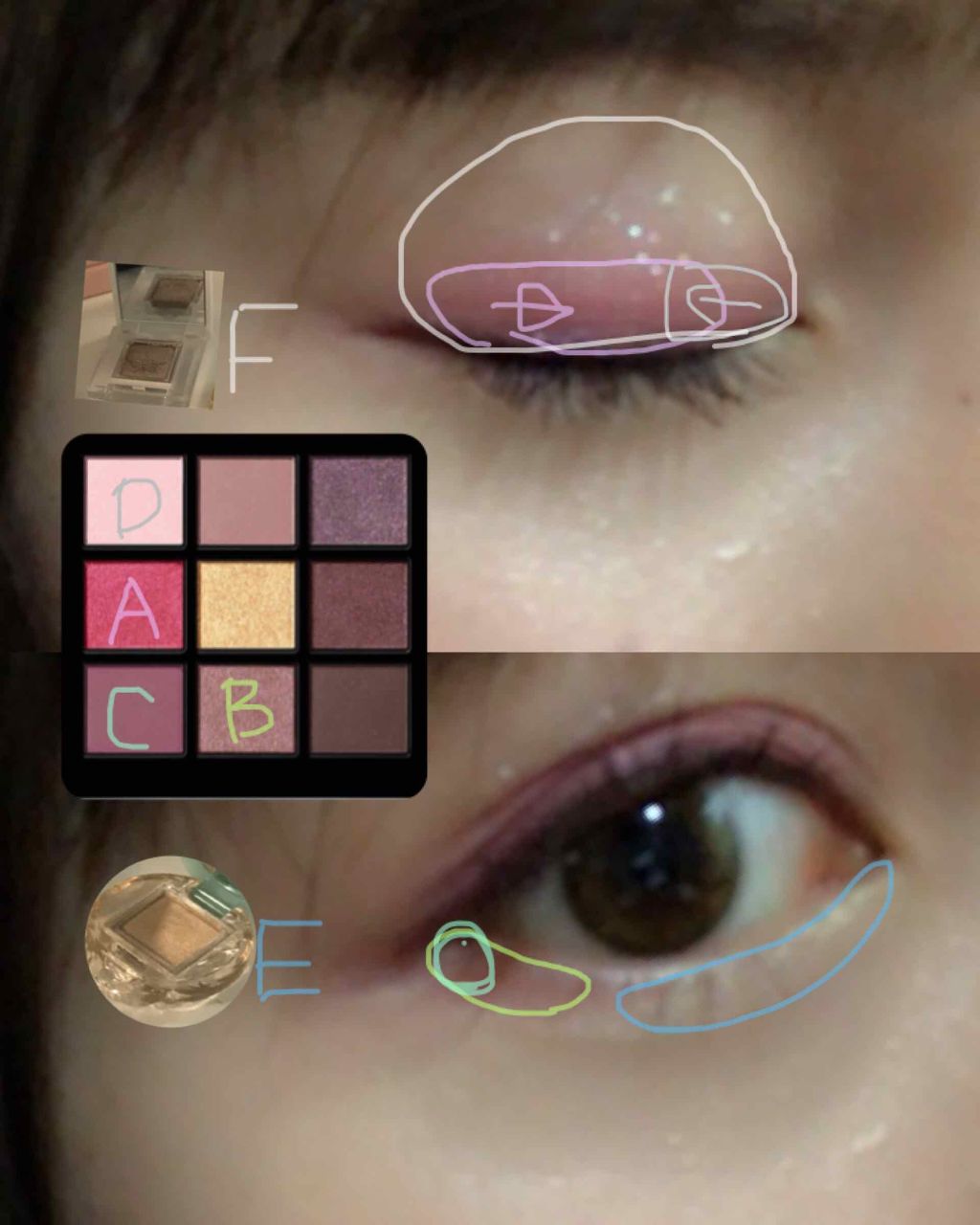 ファインカラー/エレガンス クルーズ/パウダーチークを使ったクチコミ（2枚目）