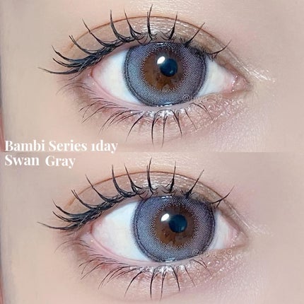 Angelcolor Bambi Series 1day /AngelColor/ワンデー(1DAY)カラコンを使ったクチコミ(4枚目)