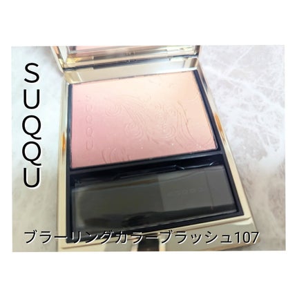 モイスチャー リッチ リップスティック/SUQQU/口紅を使ったクチコミ(6枚目)