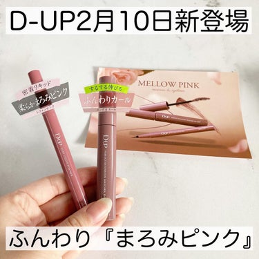 シルキーリキッドアイライナーWP/D-UP/リキッドアイライナーを使ったクチコミ（1枚目）